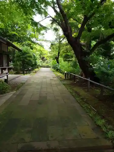 源光寺（回向院市川別院）の庭園