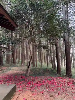 日枝神社(埼玉県)