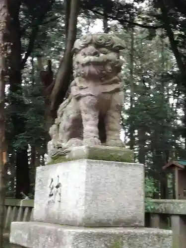 間々田八幡宮の狛犬