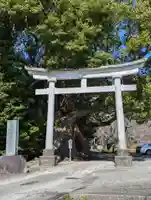 川津来宮神社(静岡県)