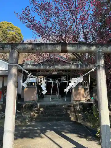 賀茂別雷神社(栃木県)