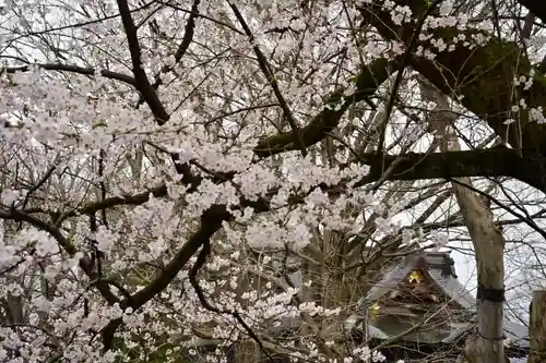 金峯神社(新潟県)
