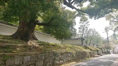 青蓮院門跡のその他建物