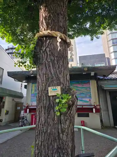 矢先稲荷神社の{uncategorized: "未分類", other: "その他", undefined: "問題あり", building: "その他建物", grave: "お墓", sacred_gate: "鳥居", guardian: "狛犬", statue: "像", buddha: "仏像", history: "歴史", nature: "自然", garden: "庭園", animal: "動物", pagoda: "塔", temizu: "手水舎", mountain_gate: "山門・神門", sanctuary: "本殿・本堂", subordinate: "末社・摂社", art: "芸術", scenery: "景色", jizo: "地蔵", ema: "絵馬", goshuin: "御朱印", omikuji: "おみくじ", items: "授与品その他", amulet: "お守り", goshuincho: "御朱印帳", eats: "食事", festival: "お祭り", votive_dance: "神楽", shichigosan: "七五三参", wedding: "結婚式", experience: "体験その他", initially: "初詣", around: "周辺", anti_infection: "感染症対策"}
