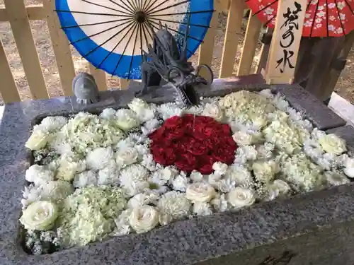 札幌諏訪神社の手水