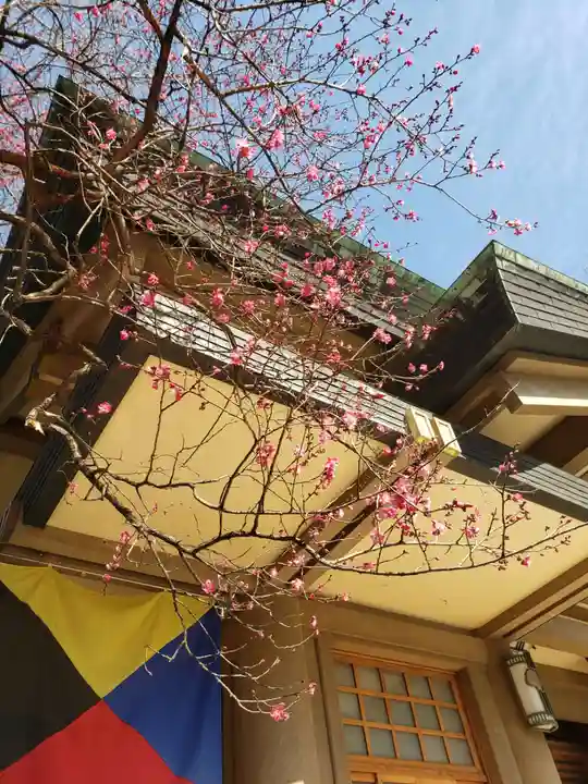 東郷神社(東京都)