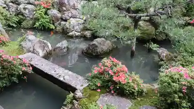 柳谷観音　楊谷寺(京都府)