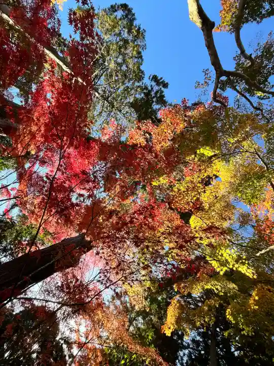 国宝 長寿寺(滋賀県)