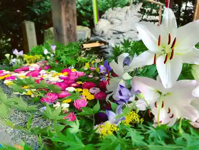 滑川神社 - 仕事と子どもの守り神の手水舎