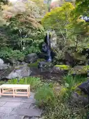 青龍山 吉祥寺の庭園