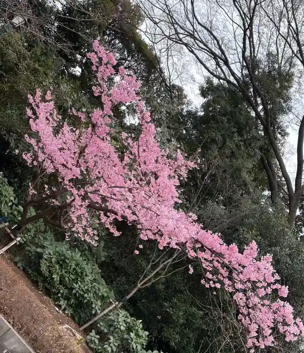 靖國神社(東京都)