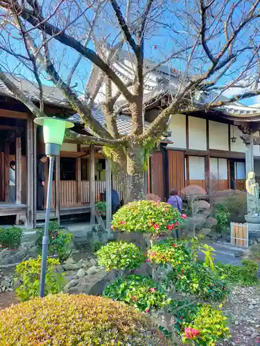 徳伝寺(和歌山県)