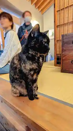 五十稲荷神社(栄寿稲荷神社)の動物