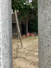 泊神社(兵庫県)