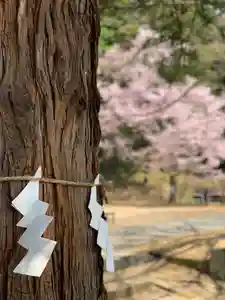 土津神社|こどもと出世の神さまの自然(2020年05月02日(土) 11時53分55秒投稿)