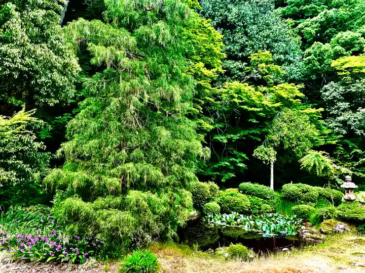 国上寺(新潟県)