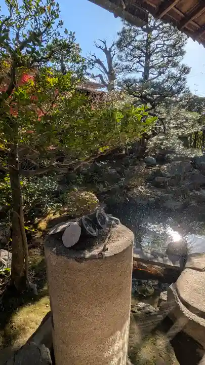 金臺寺(金台寺)(京都府)