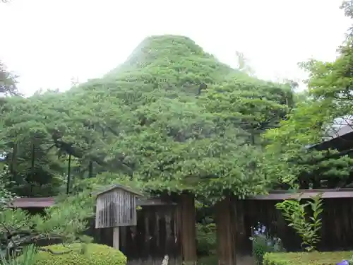 宝泉院のその他建物
