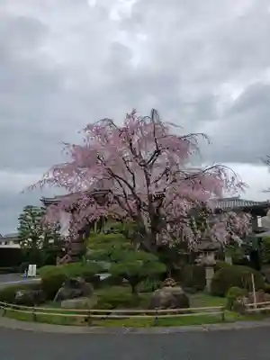 最勝寺(東京都)