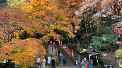 水澤寺(水澤観世音)(群馬県)