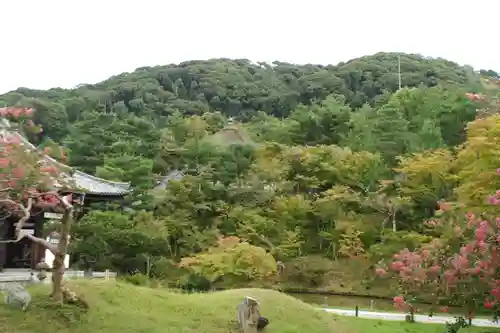 高台寺（高台寿聖禅寺・高臺寺）(京都府)