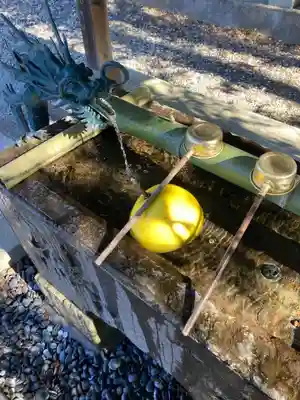 佐野赤城神社(栃木県)
