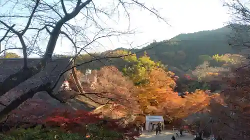 談山神社(奈良県)