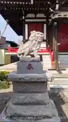 関根神社の狛犬