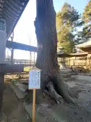 逸見神社の建物その他