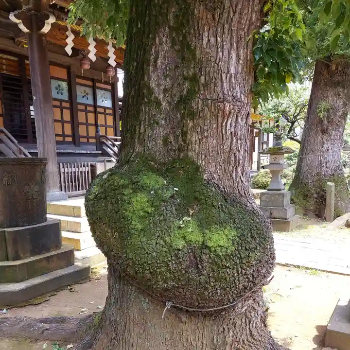 西向天神社(東京都)