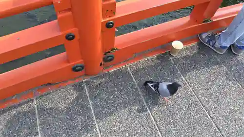 神泉苑(京都府)