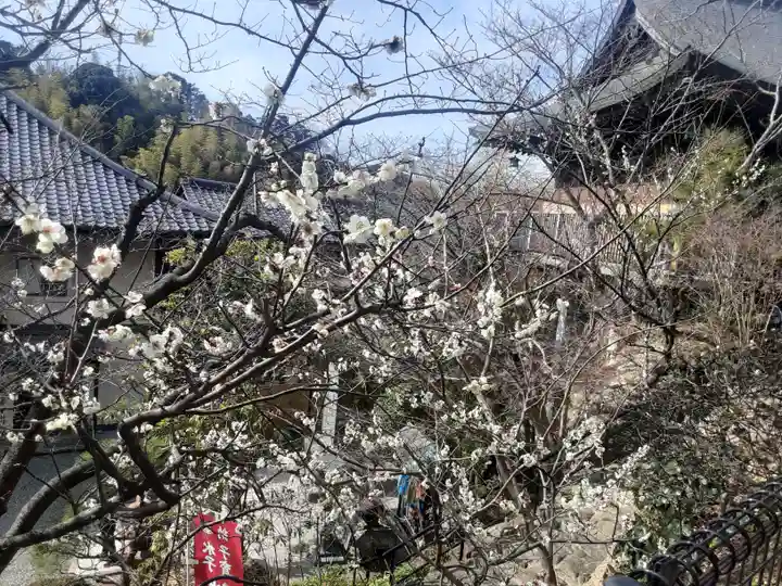 大船観音寺(神奈川県)