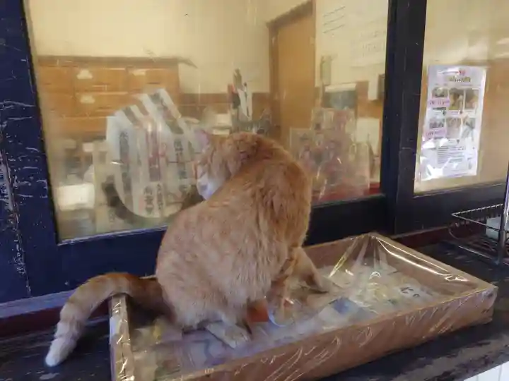 薦神社(大分県)