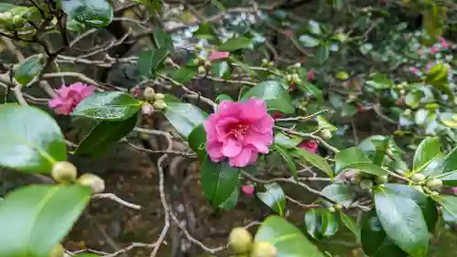 霊鑑寺門跡(京都府)