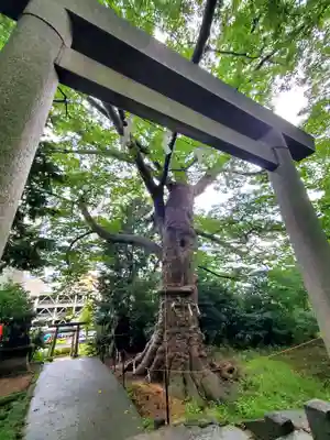 愛宕神社(福島県)