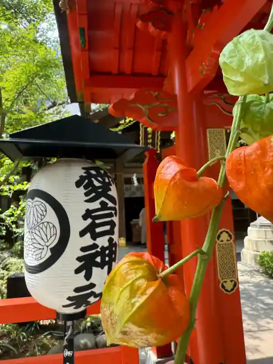 愛宕神社(東京都)