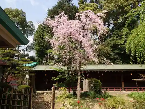 代々木八幡宮の庭園
