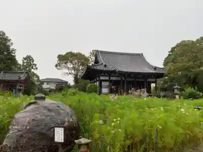 般若寺 ❁﻿コスモス寺❁のその他建物