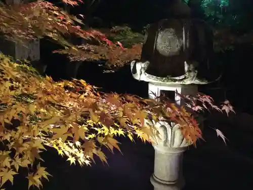 禅林寺（永観堂）(京都府)