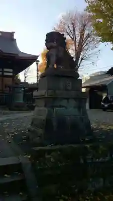 滝野川八幡神社の狛犬