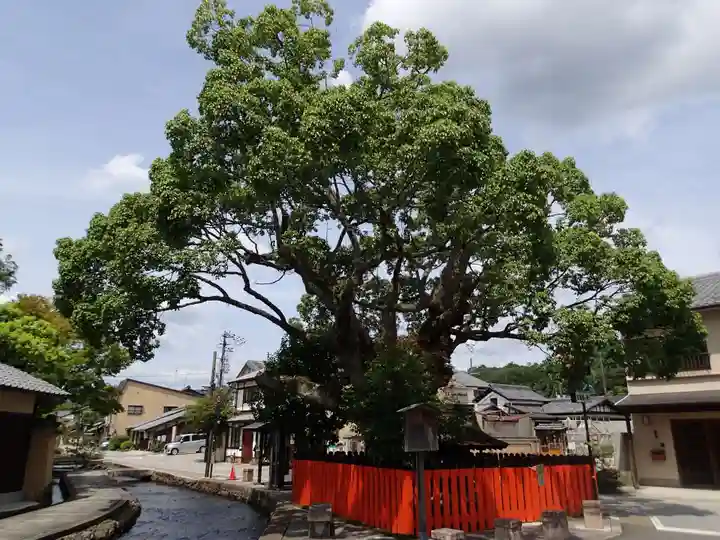 藤木社(賀茂別雷神社末社)のその他建物