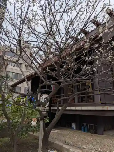 高円寺氷川神社(東京都)