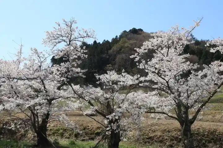 高司神社〜むすびの神の鎮まる社〜の自然