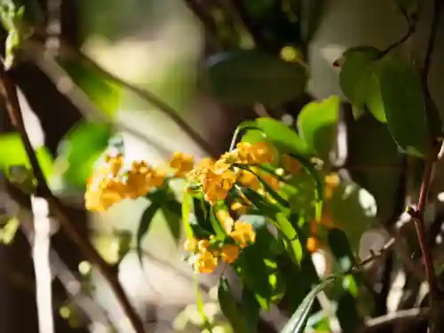 赤坂氷川神社の{uncategorized: "未分類", other: "その他", undefined: "問題あり", building: "その他建物", grave: "お墓", sacred_gate: "鳥居", guardian: "狛犬", statue: "像", buddha: "仏像", history: "歴史", nature: "自然", garden: "庭園", animal: "動物", pagoda: "塔", temizu: "手水舎", mountain_gate: "山門・神門", sanctuary: "本殿・本堂", subordinate: "末社・摂社", art: "芸術", scenery: "景色", jizo: "地蔵", ema: "絵馬", goshuin: "御朱印", omikuji: "おみくじ", items: "授与品その他", amulet: "お守り", goshuincho: "御朱印帳", eats: "食事", festival: "お祭り", votive_dance: "神楽", shichigosan: "七五三参", wedding: "結婚式", experience: "体験その他", initially: "初詣", around: "周辺", anti_infection: "感染症対策"}