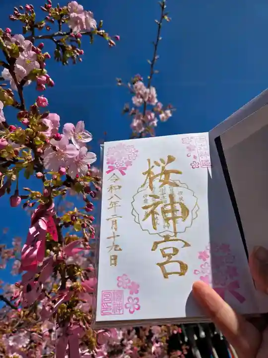 桜神宮の御朱印