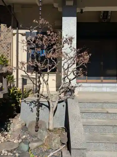 常護寺(東京都)