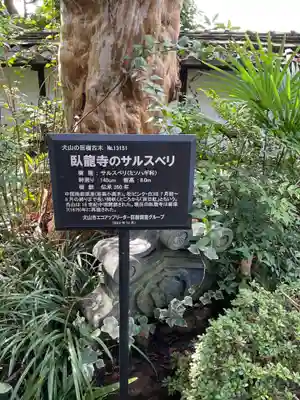 臥龍寺(愛知県)