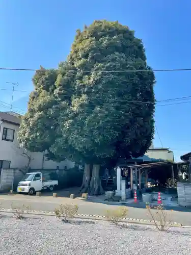 御嶽神社の{uncategorized: "未分類", other: "その他", undefined: "問題あり", building: "その他建物", grave: "お墓", sacred_gate: "鳥居", guardian: "狛犬", statue: "像", buddha: "仏像", history: "歴史", nature: "自然", garden: "庭園", animal: "動物", pagoda: "塔", temizu: "手水舎", mountain_gate: "山門・神門", sanctuary: "本殿・本堂", subordinate: "末社・摂社", art: "芸術", scenery: "景色", jizo: "地蔵", ema: "絵馬", goshuin: "御朱印", omikuji: "おみくじ", items: "授与品その他", amulet: "お守り", goshuincho: "御朱印帳", eats: "食事", festival: "お祭り", votive_dance: "神楽", shichigosan: "七五三参", wedding: "結婚式", experience: "体験その他", initially: "初詣", around: "周辺", anti_infection: "感染症対策"}