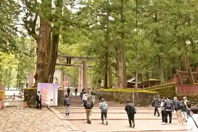 日光東照宮(栃木県)