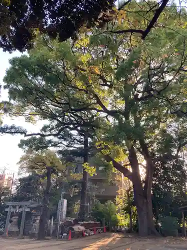 玉川神社(東京都)